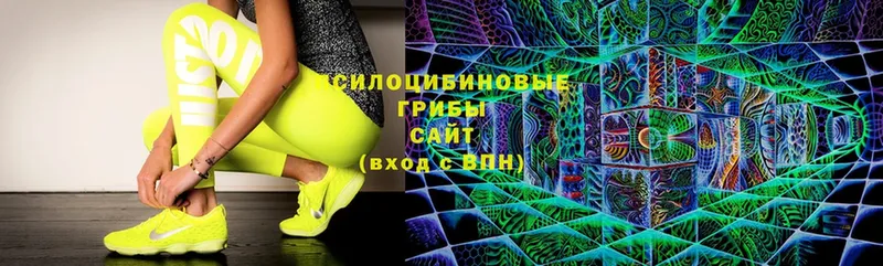 дарнет шоп  Ужур  Псилоцибиновые грибы Cubensis 